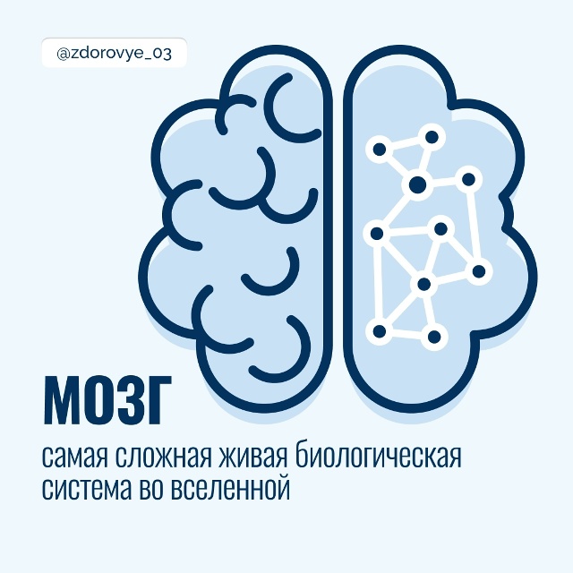 Неделя сохранения здоровья головного мозга